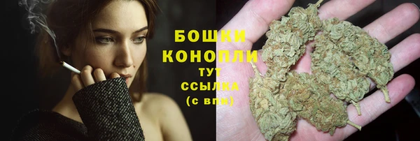 индика Бронницы