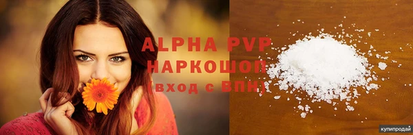индика Бронницы