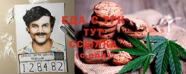 индика Бронницы