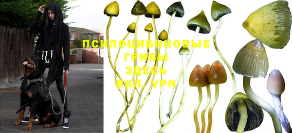 прущая мука Бородино