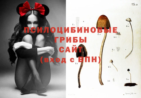 дистиллят марихуана Богородск