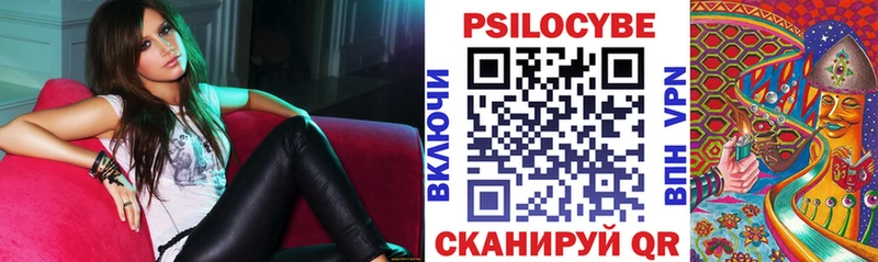 Псилоцибиновые грибы мицелий  Каспийск 